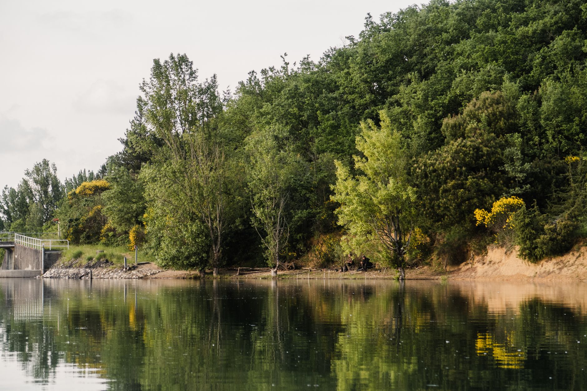 european bass fishing