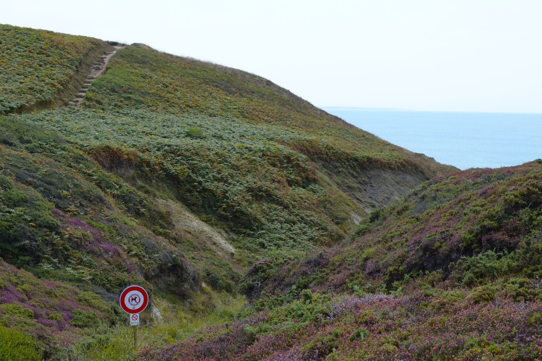 brittany coast trail