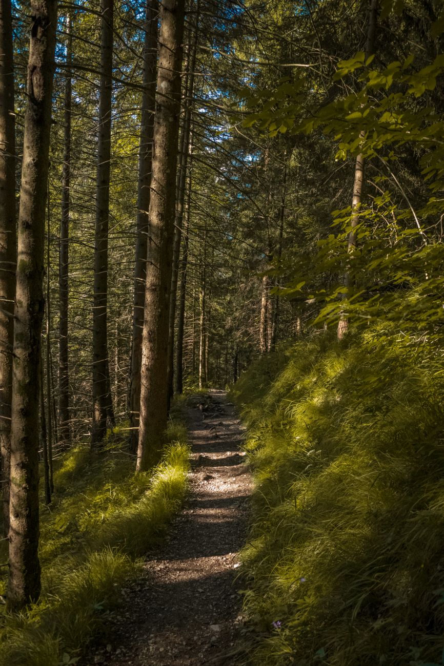 Récupération en trail