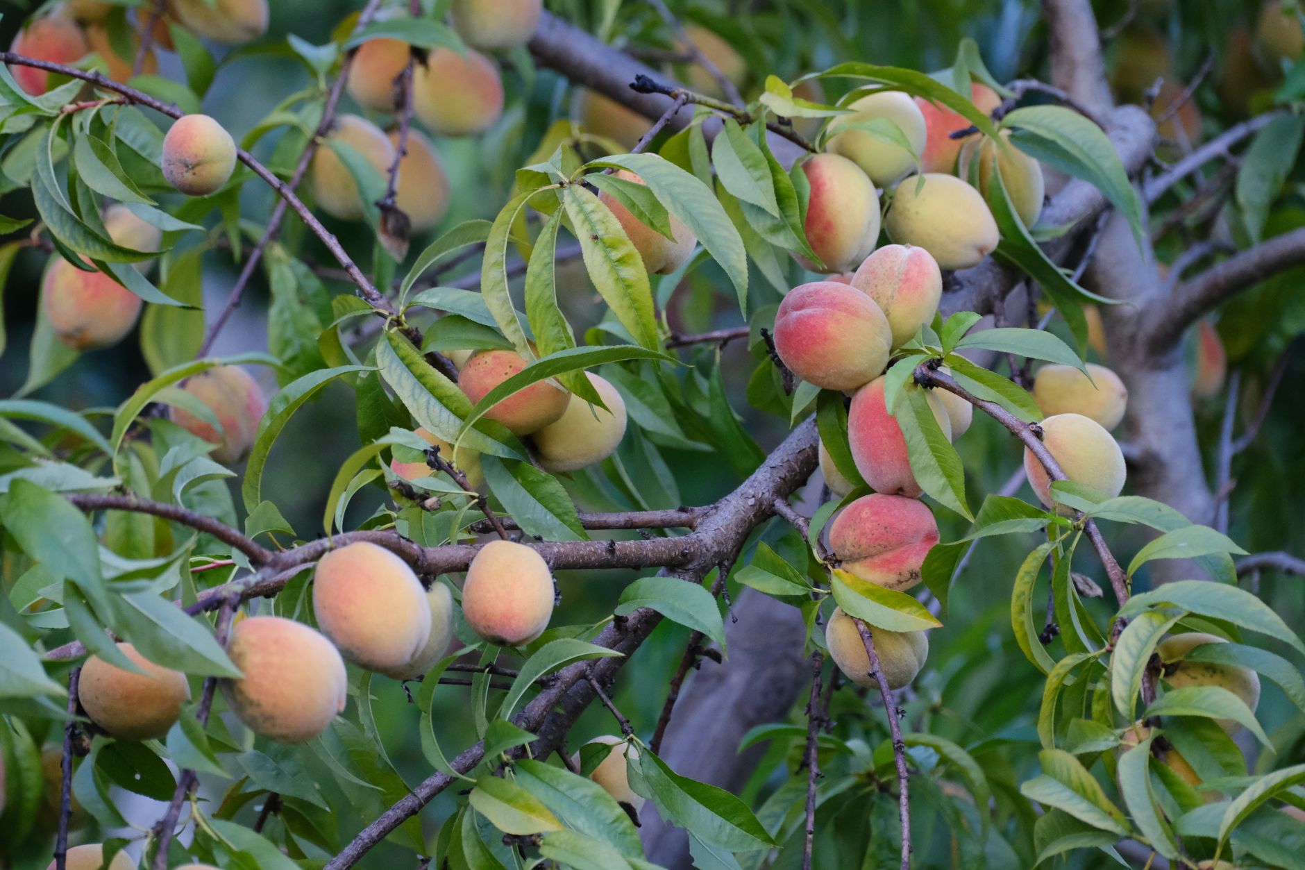 Pêche par saison