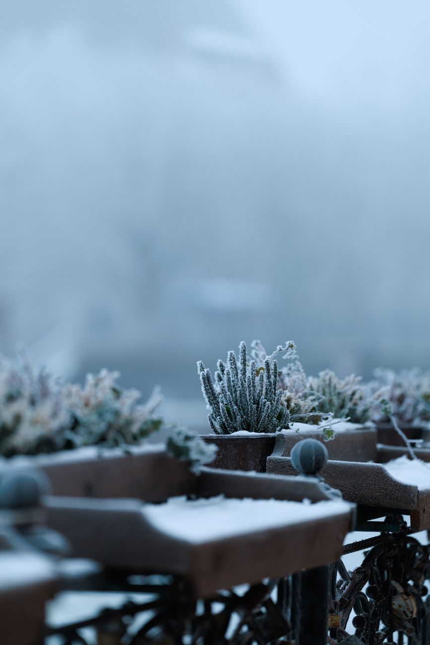 Pêche en hiver