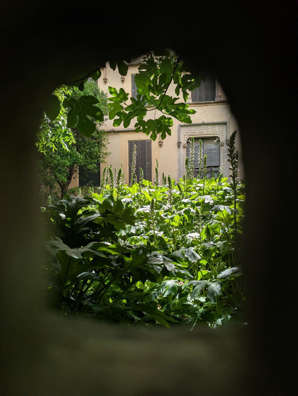 Ouverture des refuges : la saison