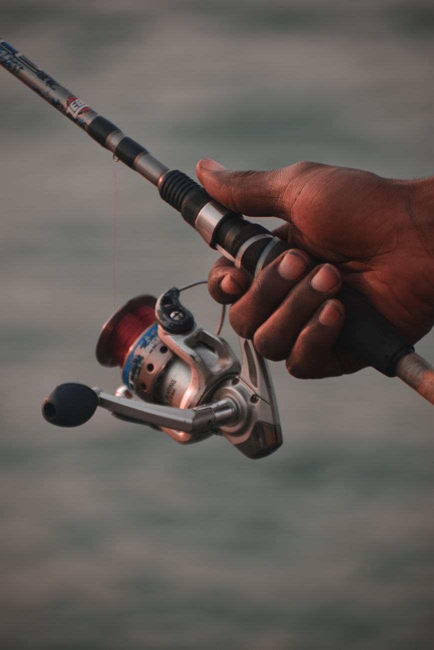 fishing rod reel