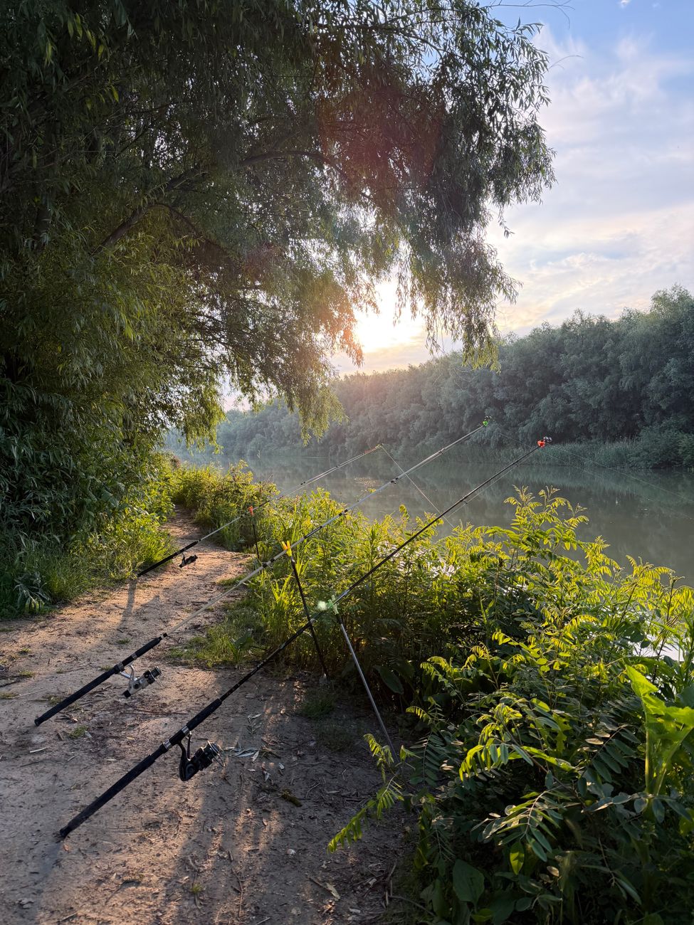 fishing season riverbank
