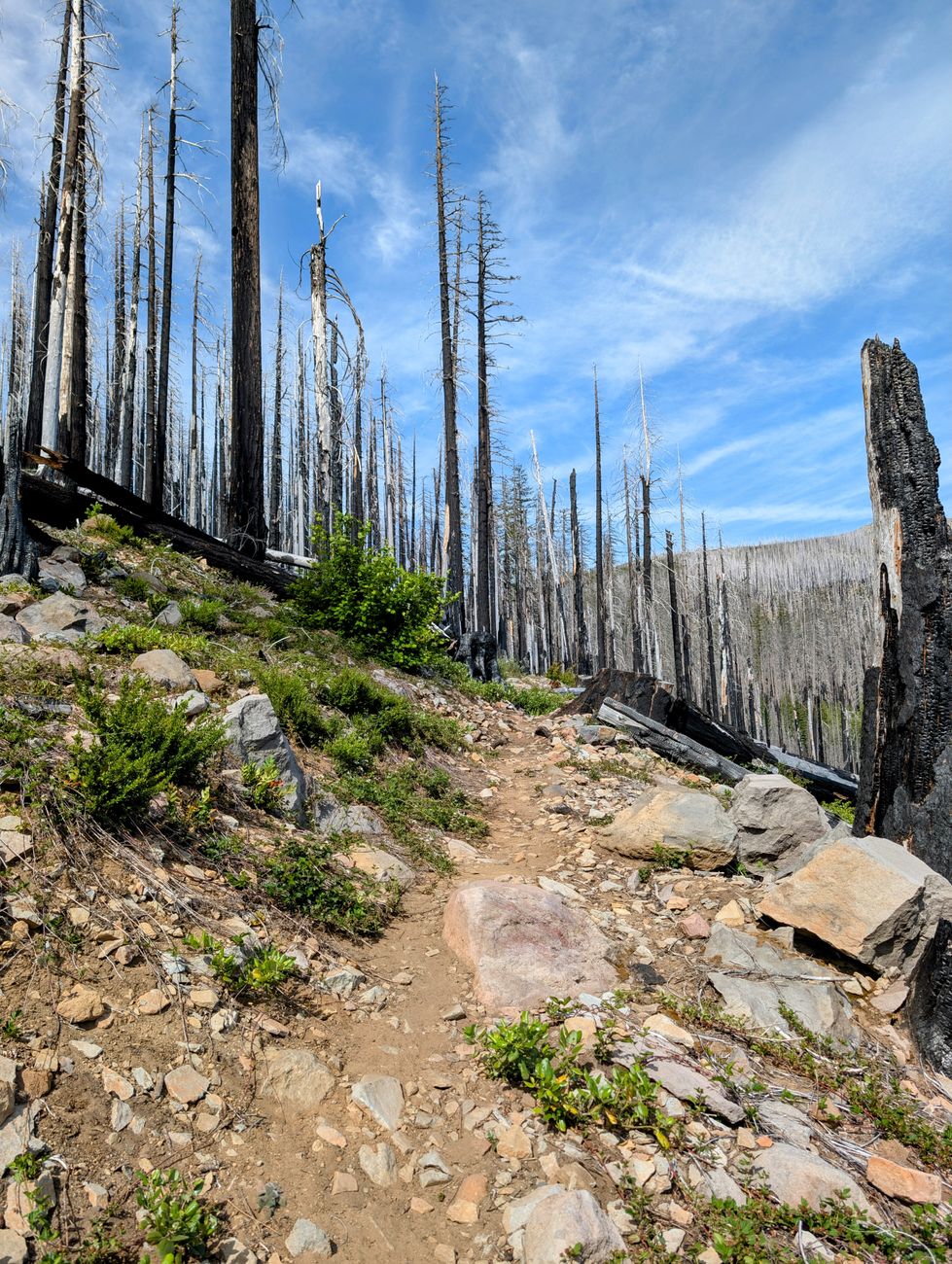mountain trail safety